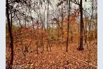 338 River Pines Trail, Clemmons, NC 27012 - Photo 11