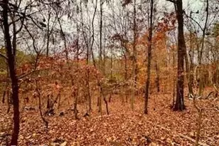 338 River Pines Trail, Clemmons, NC 27012 - Photo 11