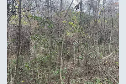 Block A Pulco Lane, Ronda, NC 28670 - Photo 5