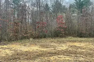 Block B Pulco Ln, Ronda, NC 28670 - Photo 1