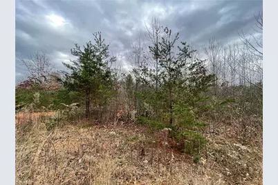 Lot 12 Pulco Lane, Ronda, NC 28670 - Photo 1