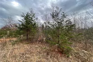 Lot 12 Pulco Ln, Ronda, NC 28670 - Photo 1