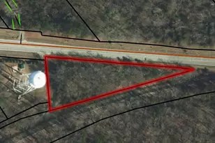 0 US Hwy 311, Sophia, NC 27350 - Photo 1