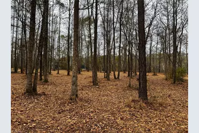 154A Lookout Dam Road, Statesville, NC 28625 - Photo 13