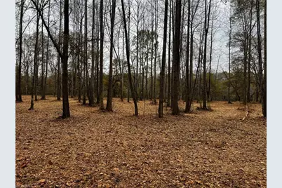 155A Lookout Dam Road, Statesville, NC 28625 - Photo 19