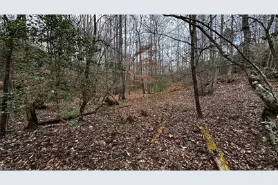 000 Tom Dula Road, Ferguson, NC 28624 - Photo 45