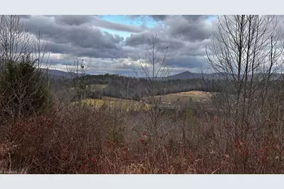 000 Tom Dula Road, Ferguson, NC 28624 - Photo 3