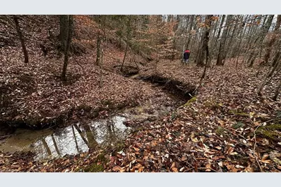 000 Tom Dula Road, Ferguson, NC 28624 - Photo 39