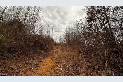 000 Tom Dula Road, Ferguson, NC 28624 - Photo 31