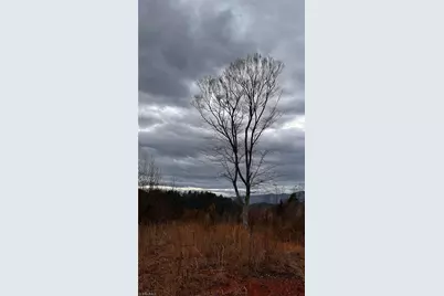 000 Tom Dula Road, Ferguson, NC 28624 - Photo 25