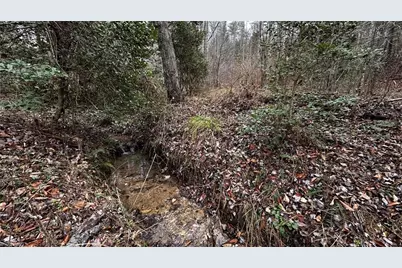 000 Tom Dula Road, Ferguson, NC 28624 - Photo 43