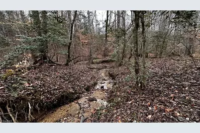 000 Tom Dula Road, Ferguson, NC 28624 - Photo 35