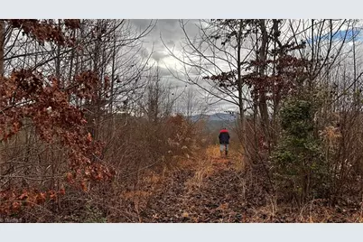 000 Tom Dula Road, Ferguson, NC 28624 - Photo 41