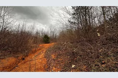 000 Tom Dula Road, Ferguson, NC 28624 - Photo 23