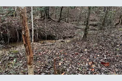 000 Tom Dula Road, Ferguson, NC 28624 - Photo 11