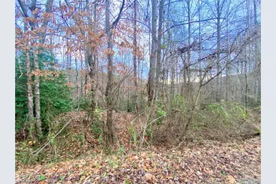 000 Autumn Place Lane, North Wilkesboro, NC 28659 - Photo 3