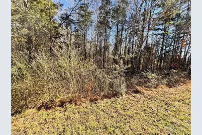 00 New Cut Road, Lexington, NC 27292 - Photo 5