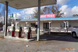 8172 Boone Trail, Purlear, NC 28665 - Photo 3