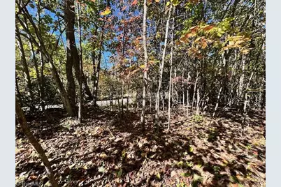 Lot 19 Longview Bluffs, Boomer, NC 28606 - Photo 7