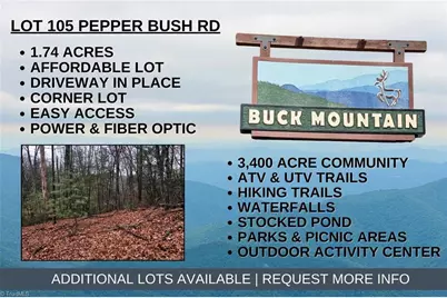 Lot 105 Pepper Bush Road, Purlear, NC 28665 - Photo 1