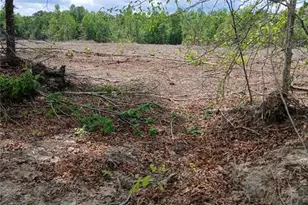 Lot 2A Manning Powell Old Macon Hwy, Macon, NC 27551 - Photo 1