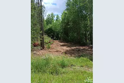 Lot 2A Manning Powell Old Macon Highway, Macon, NC 27551 - Photo 3