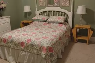 7115 Laurel Point Dr, Gibsonville, NC 27249 - Photo 23