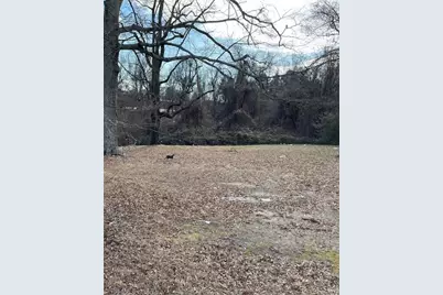 1307 Potts Avenue, High Point, NC 27260 - Photo 3