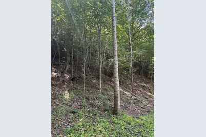 0 Rolling Hill Drive, Tobaccoville, NC 27050 - Photo 9