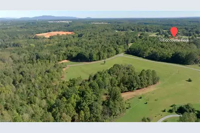 7766 Fip Newsome Road, Tobaccoville, NC 27050 - Photo 23