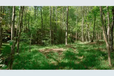 7766 Fip Newsome Road, Tobaccoville, NC 27050 - Photo 29