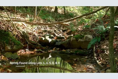 7766 Fip Newsome Road, Tobaccoville, NC 27050 - Photo 25