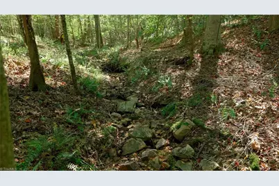 7766 Fip Newsome Road, Tobaccoville, NC 27050 - Photo 27