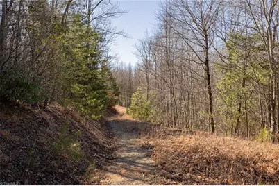Lot 4 Green Point Lane, Boomer, NC 28606 - Photo 5