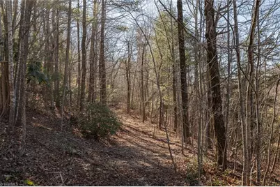 Lot 4 Green Point Lane, Boomer, NC 28606 - Photo 13