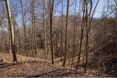 Lot 6 Green Point Lane, Boomer, NC 28606 - Photo 17