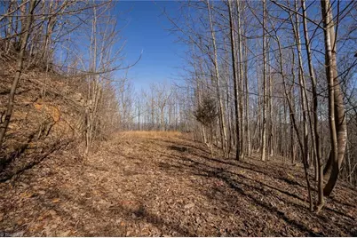 Lot 6 Green Point Lane, Boomer, NC 28606 - Photo 13