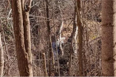 Lot 6 Green Point Lane, Boomer, NC 28606 - Photo 5