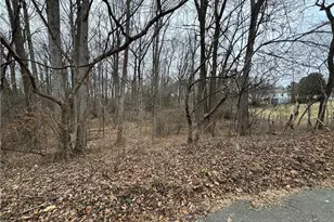 0 Old Salisbury Rd, Winston-Salem, NC 27127 - Photo 1