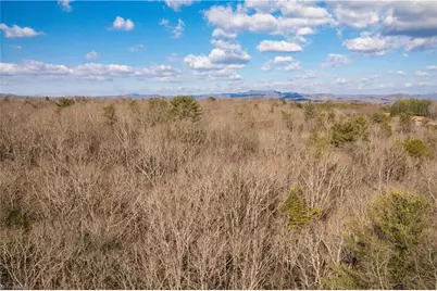 17.96 Acres Aubrey Thomas Lane, Dobson, NC 27017 - Photo 15