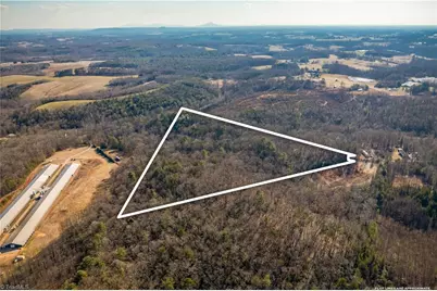 17.96 Acres Aubrey Thomas Lane, Dobson, NC 27017 - Photo 5