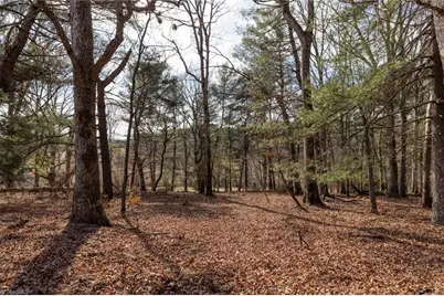 Tbd Canterbury Drive, North Wilkesboro, NC 28659 - Photo 31