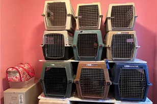 533 Trollinger St, Burlington, NC 27215 - Photo 13