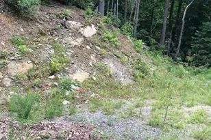 Tbd Sheets Gap Rd, Millers Creek, NC 28654 - Photo 1