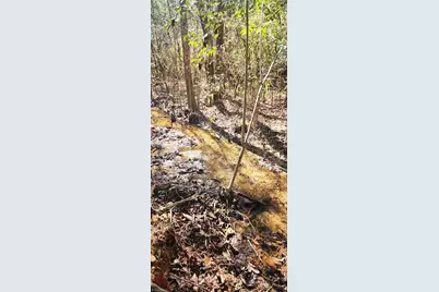 Lot 6 St Andrews Church Road, Sanford, NC 27332 - Photo 17