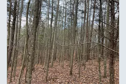 Lot 12 Fisher Valley Road, Dobson, NC 27017 - Photo 1