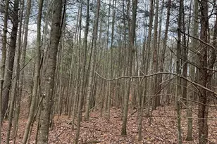 Lot 12 Fisher Valley Rd, Dobson, NC 27017 - Photo 1