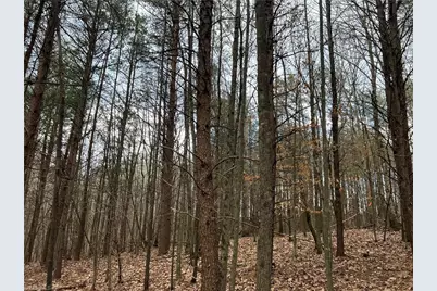 Lot 14 Fisher Valley Road, Dobson, NC 27017 - Photo 1