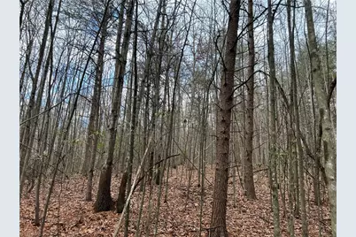 Lot 15 Fisher Valley Road, Dobson, NC 27017 - Photo 1