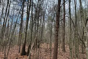 Lot 15 Fisher Valley Rd, Dobson, NC 27017 - Photo 1